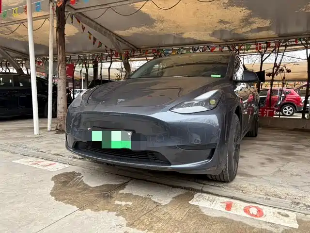 Tesla Model Y 2025 — фото 1