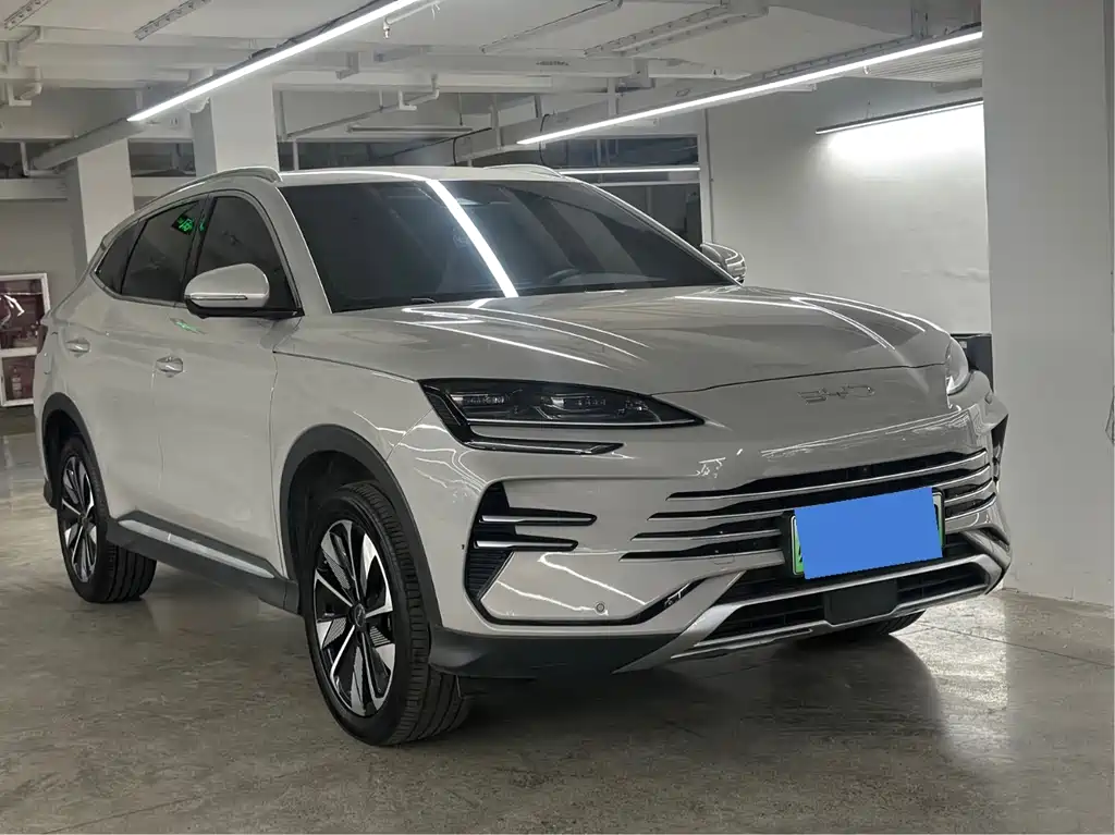 BYD PLUS New Energy 2024 — фото 3