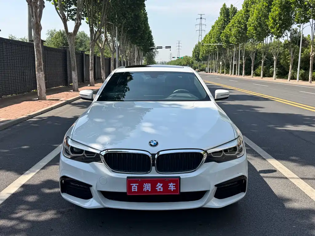 BMW 5 Series 2019 — фото 1