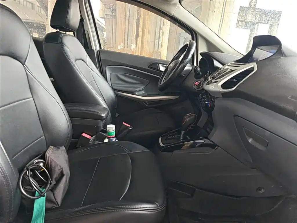 Ford Ecosport 2016 — фото 25