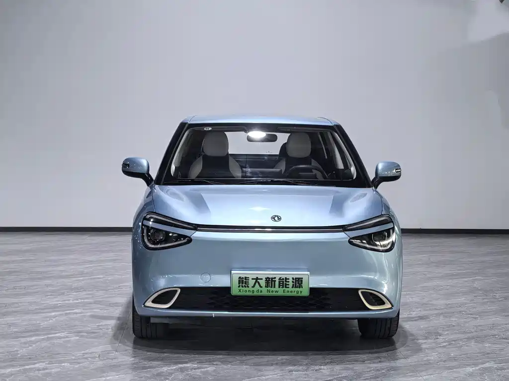 Dongfeng Nano 01 2024