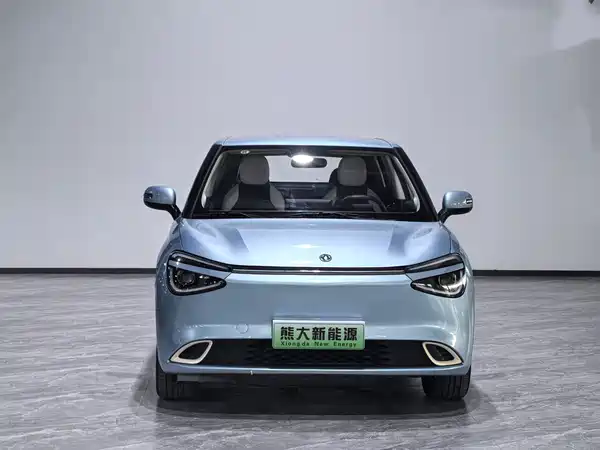 Dongfeng Nano 01 2024