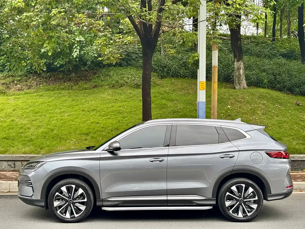 BYD PLUS New Energy 2025 — фото 6