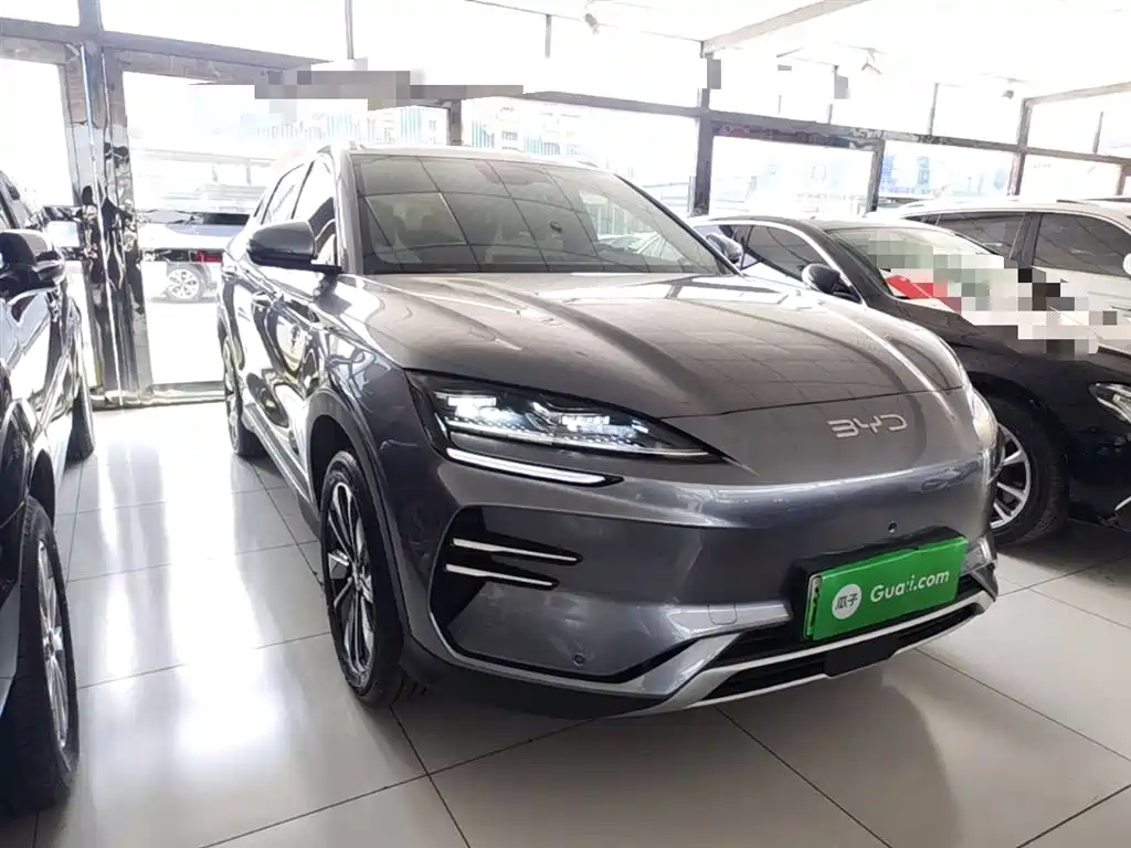 BYD PLUS New Energy 2024 — фото 22