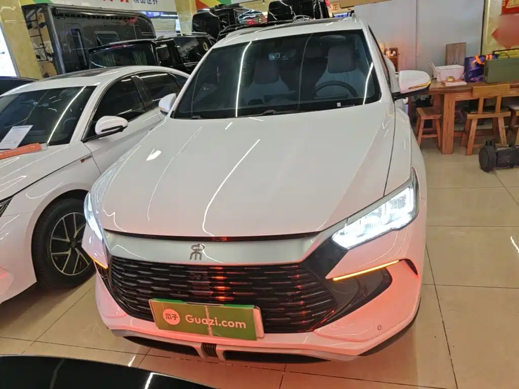 BYD Pro New Energy 2024 — фото 3