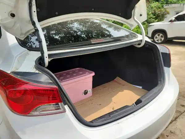 Hyundai Elantra Langdong 2016