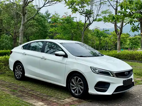 Geely Binrui 2019