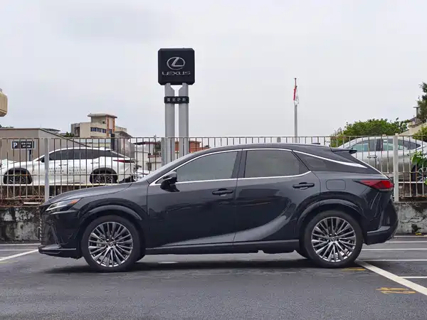 Lexus RX New Energy 2024