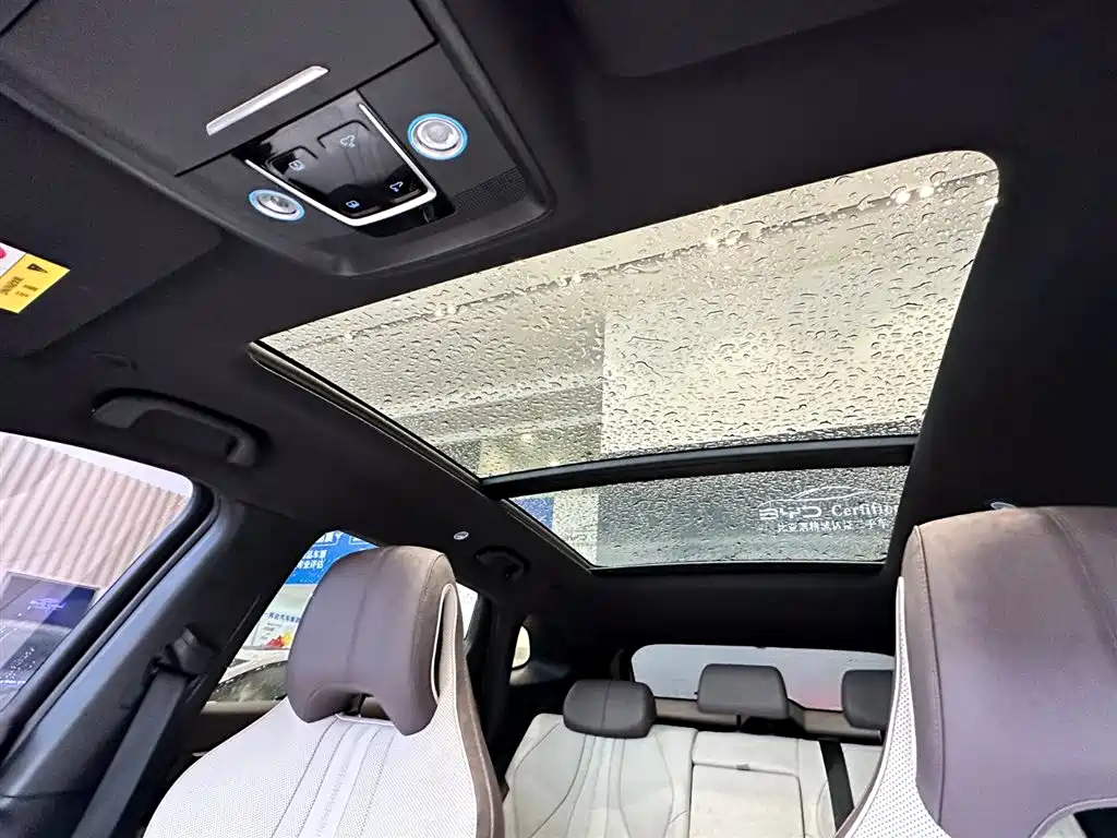 BYD PLUS New Energy 2025 — фото 10