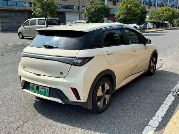 BYD Dolphin 2023
