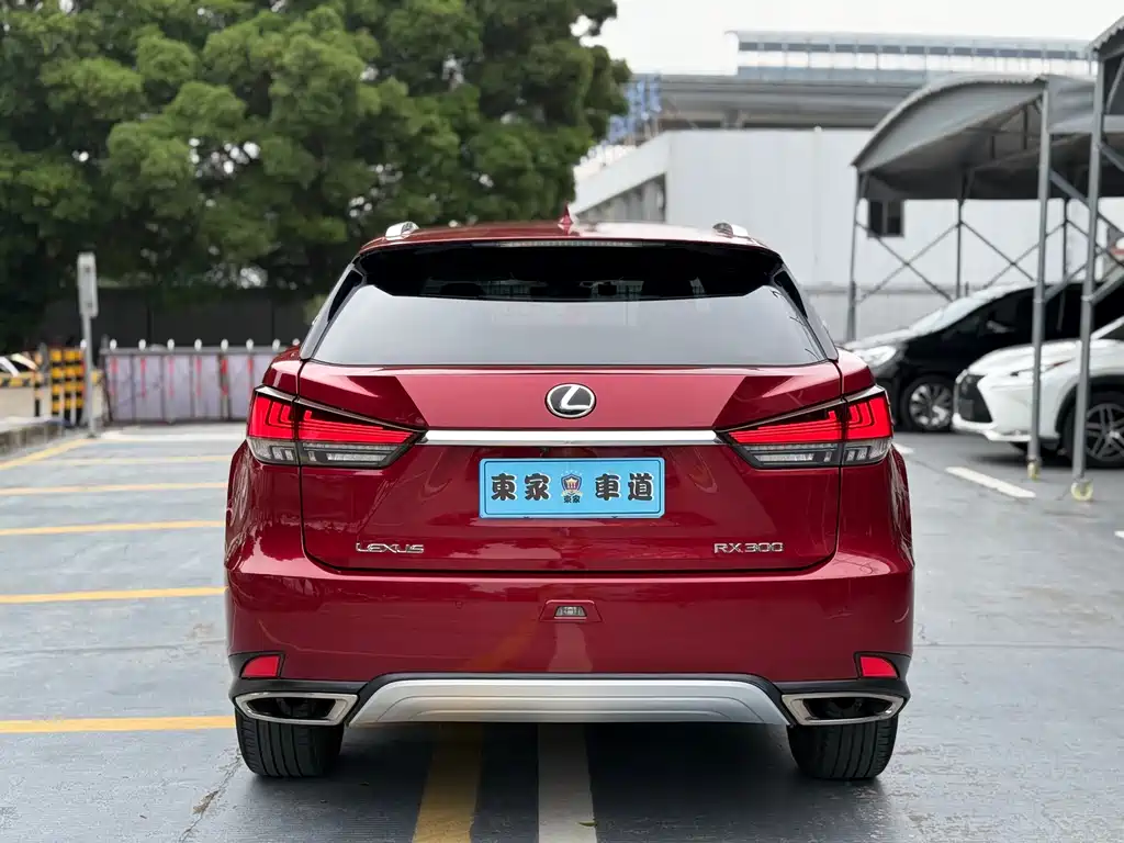 Lexus RX 2020 — фото 6