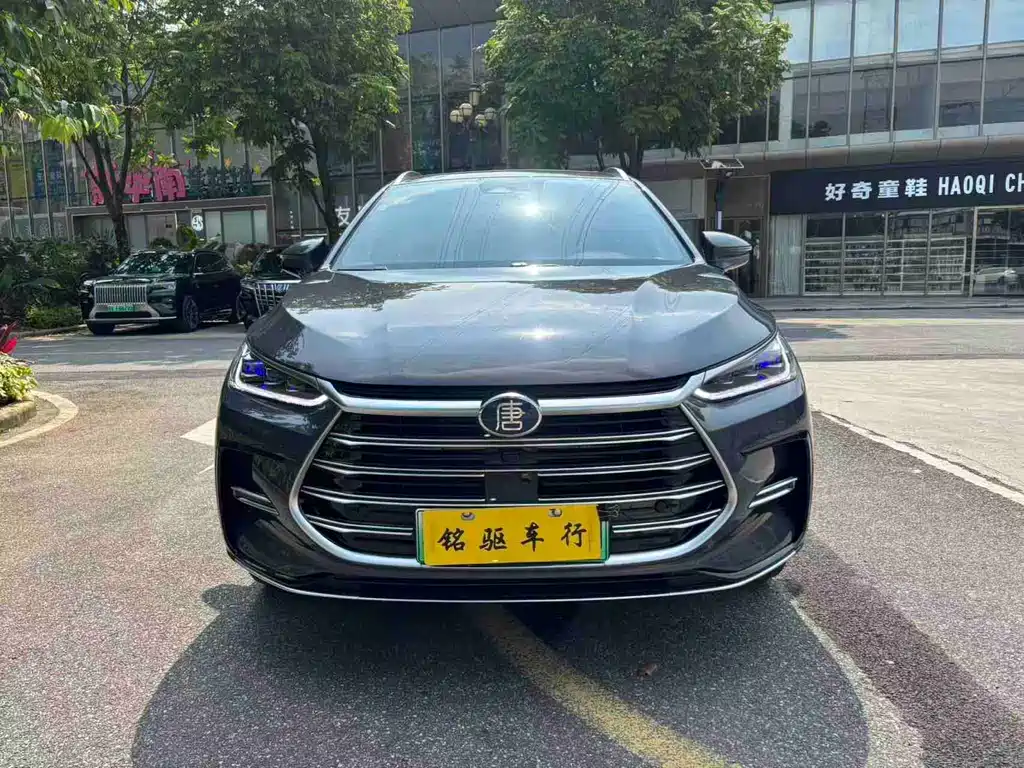 BYD Tang New Energy 2021 — фото 2