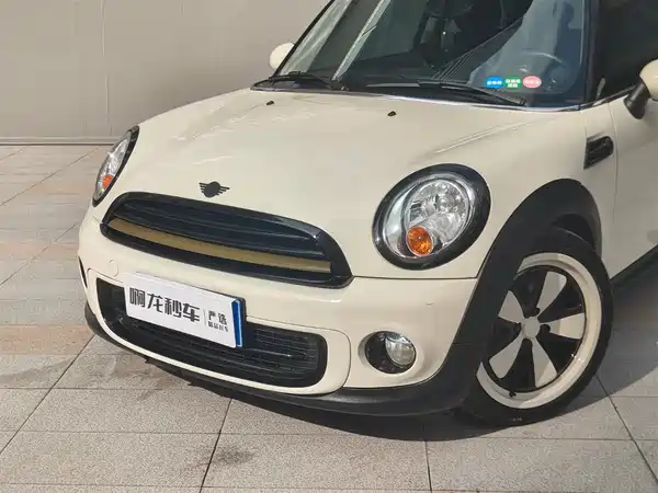 MINI 2013