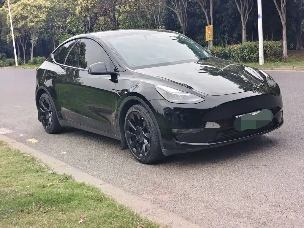 Tesla Model Y 2021 — фото 3
