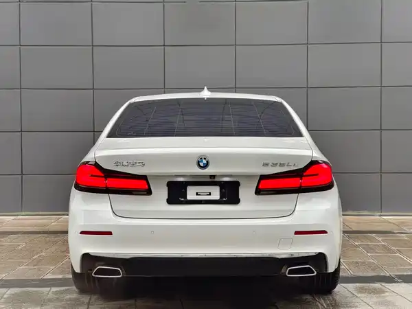 BMW 5 Series New Energy 2022