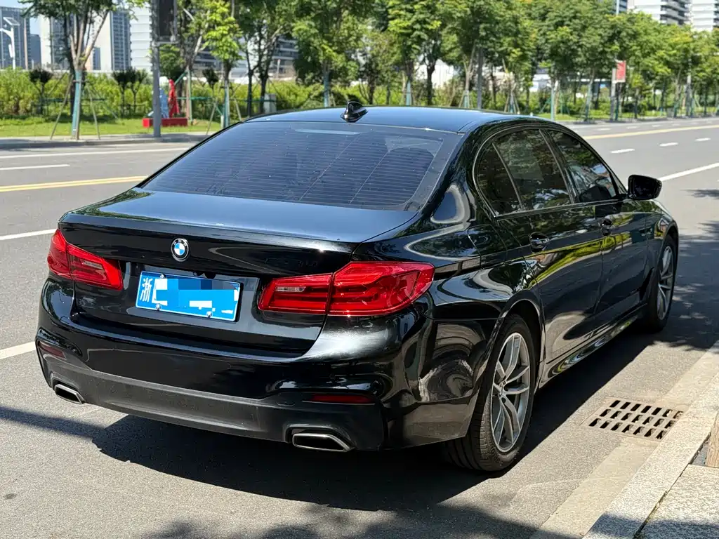 BMW 5 Series 2019 — фото 6
