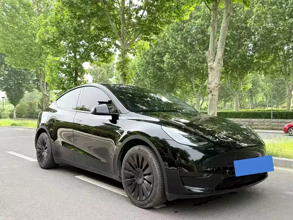 Tesla Model Y 2023 — фото 3