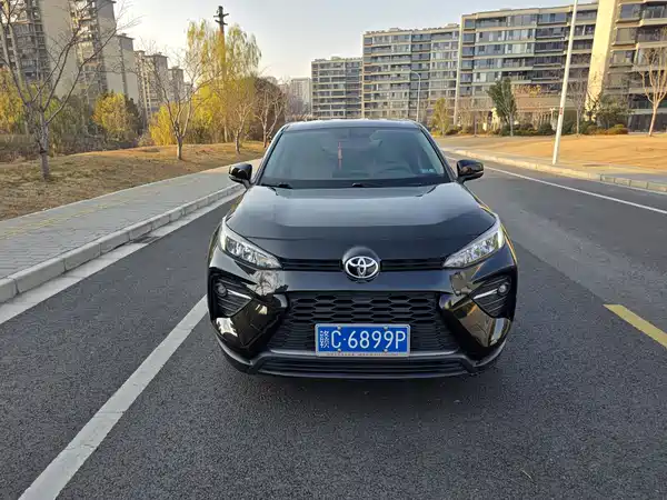 Toyota Wildlander 2022