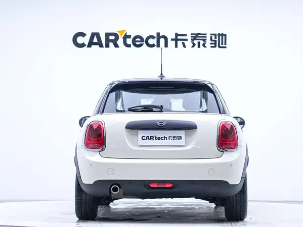 MINI MINI 2018