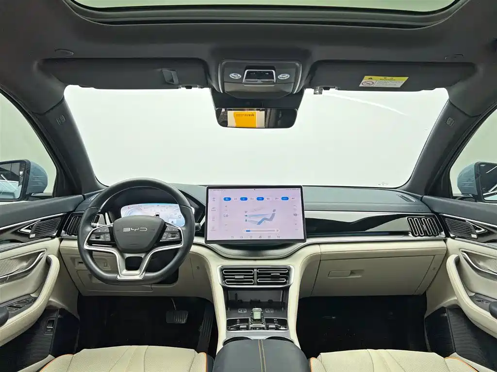 BYD PLUS New Energy 2023 — фото 23