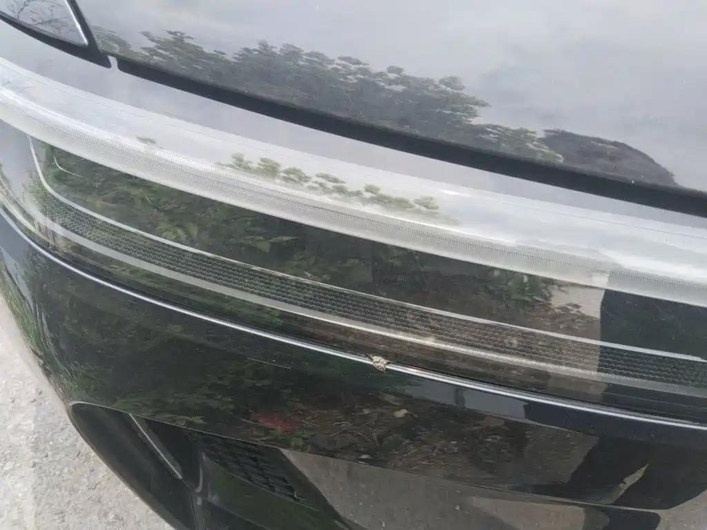Li Auto Li ONE 2020
