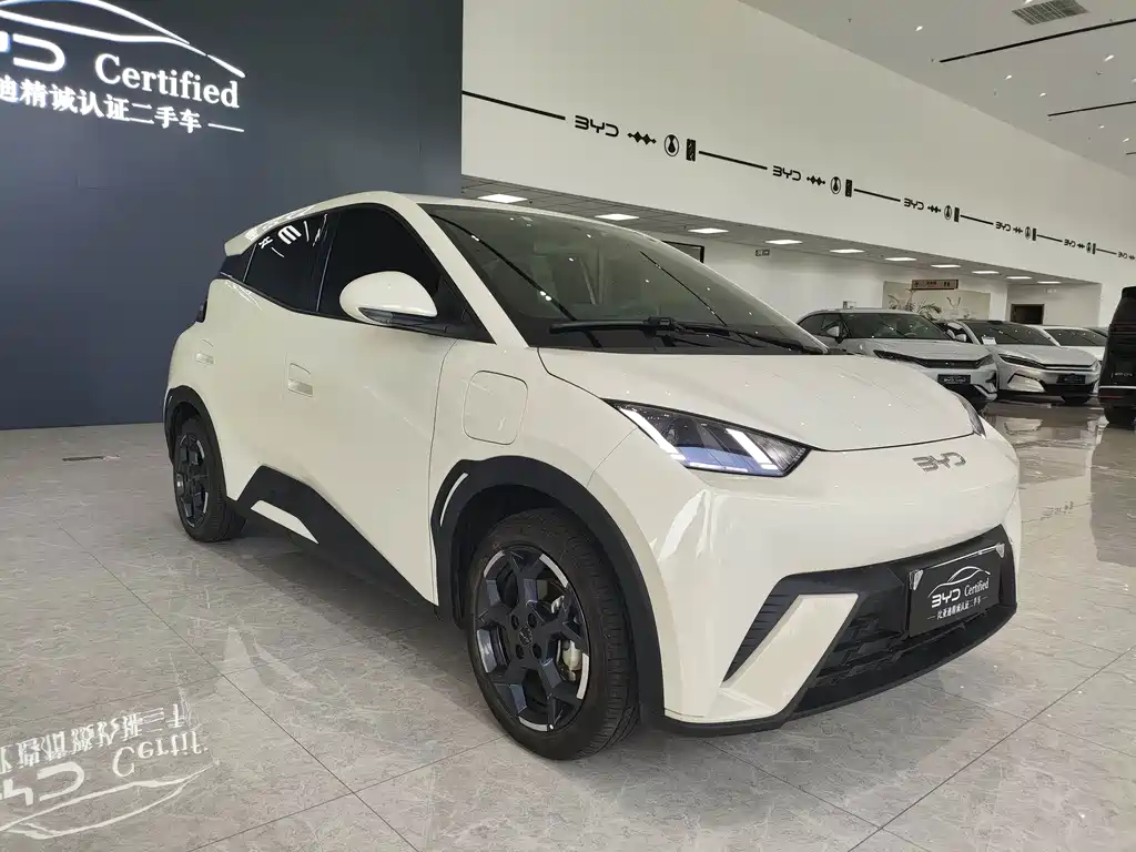 BYD Seagull 2024
