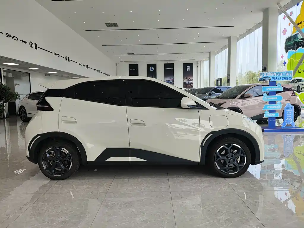 BYD Seagull 2024