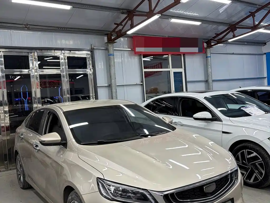 Geely Binrui 2019