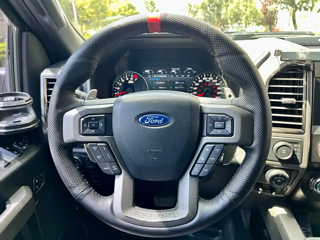 Ford F-150 Raptor 2020 — фото 21