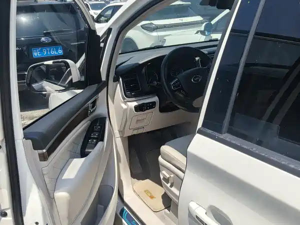GAC Trumpchi M8 2018