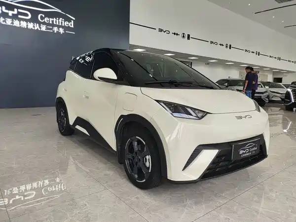 BYD Seagull 2023
