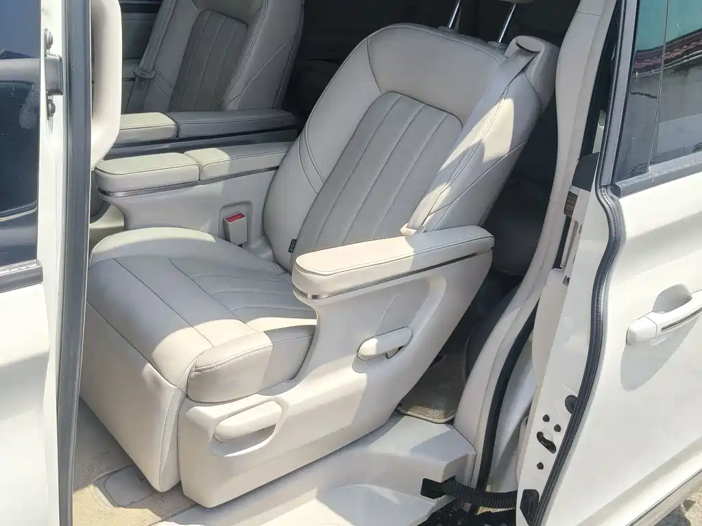 GAC Motor Trumpchi M8 2019 — фото 13