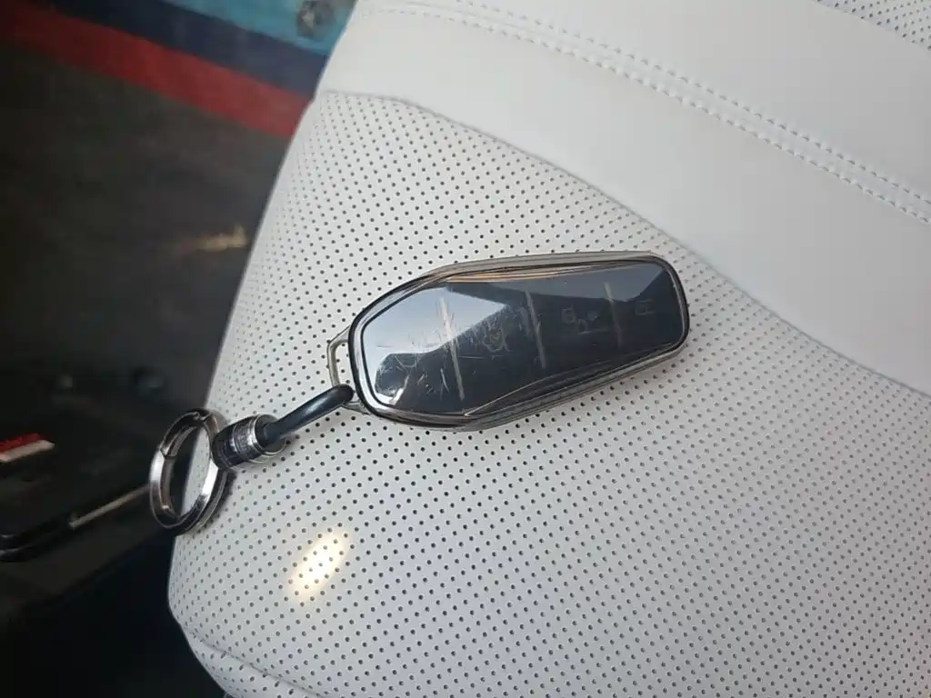 BYD Song PLUS New Energy 2025 — фото 9