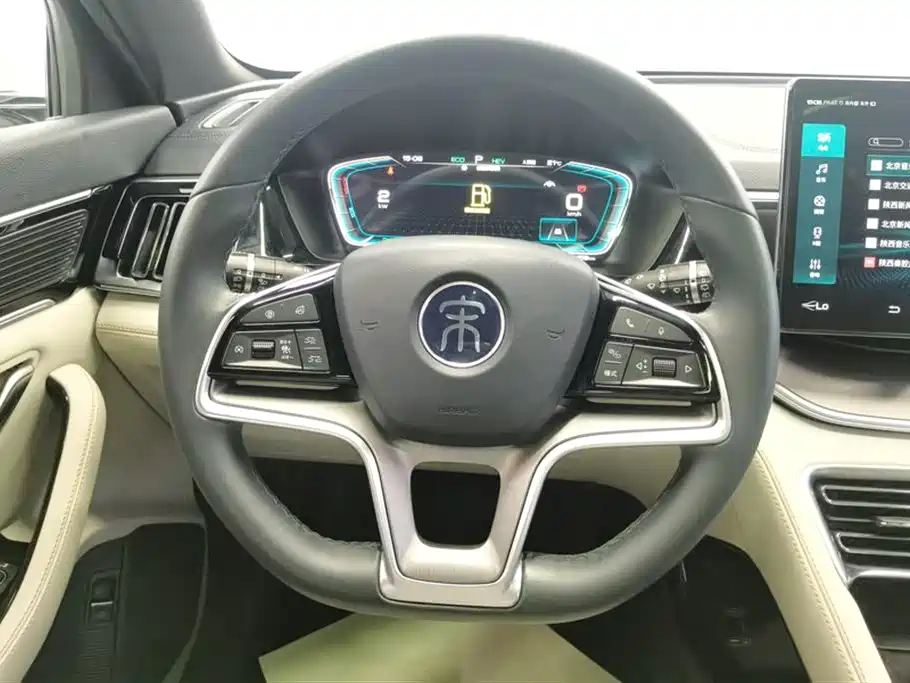 BYD PLUS New Energy 2022 — фото 15
