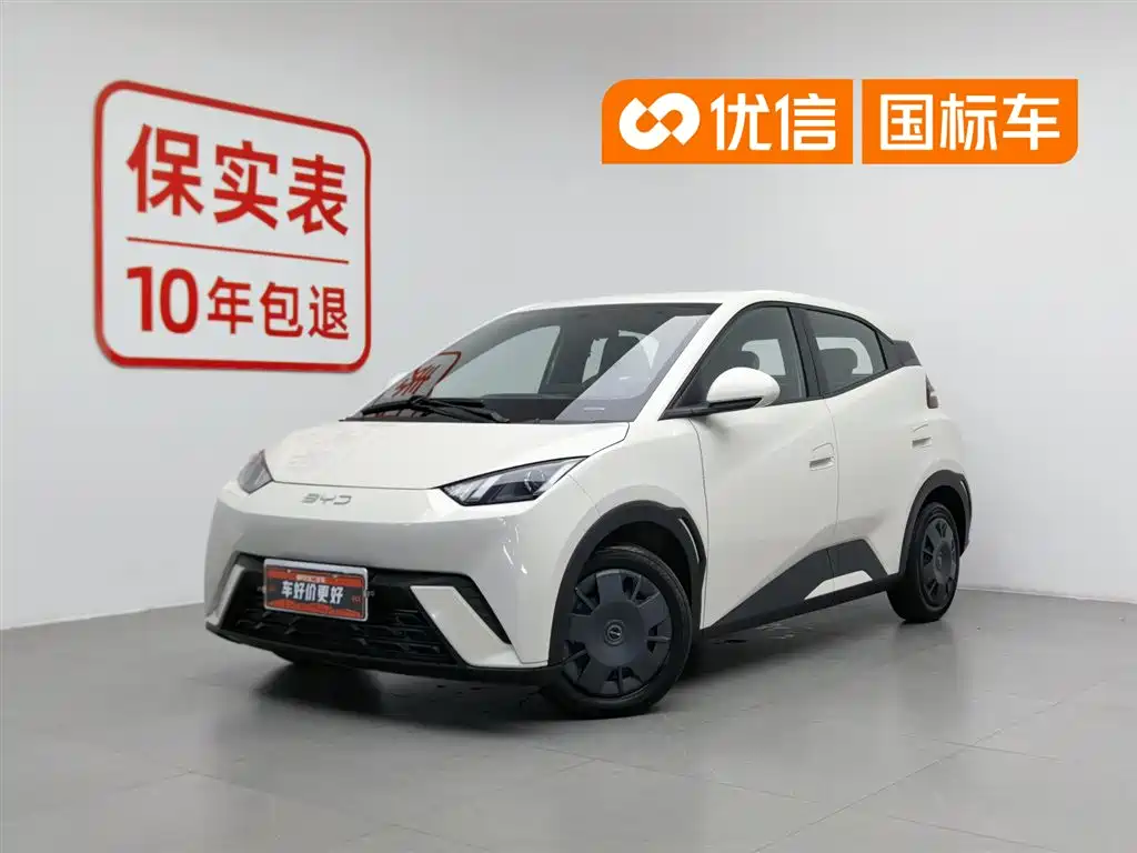 BYD Seagull 2024