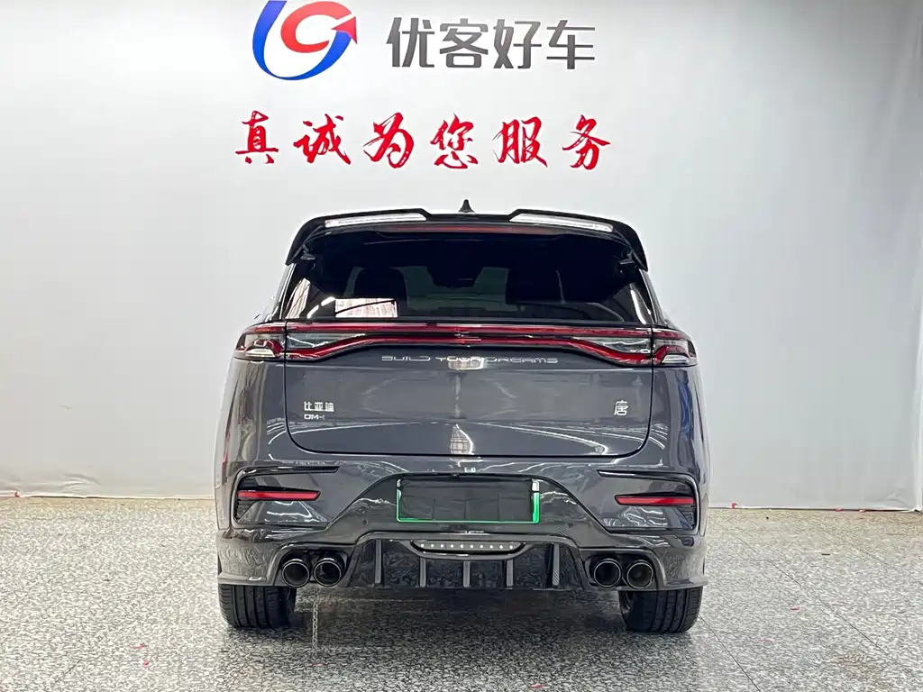 BYD Tang New Energy 2023 — фото 16