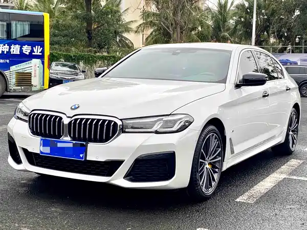 BMW 5 Series 2022