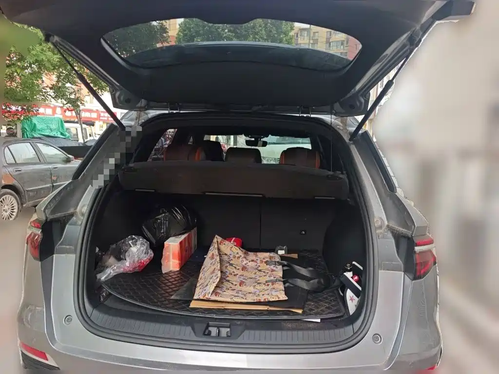 BYD Pro New Energy 2023 — фото 16