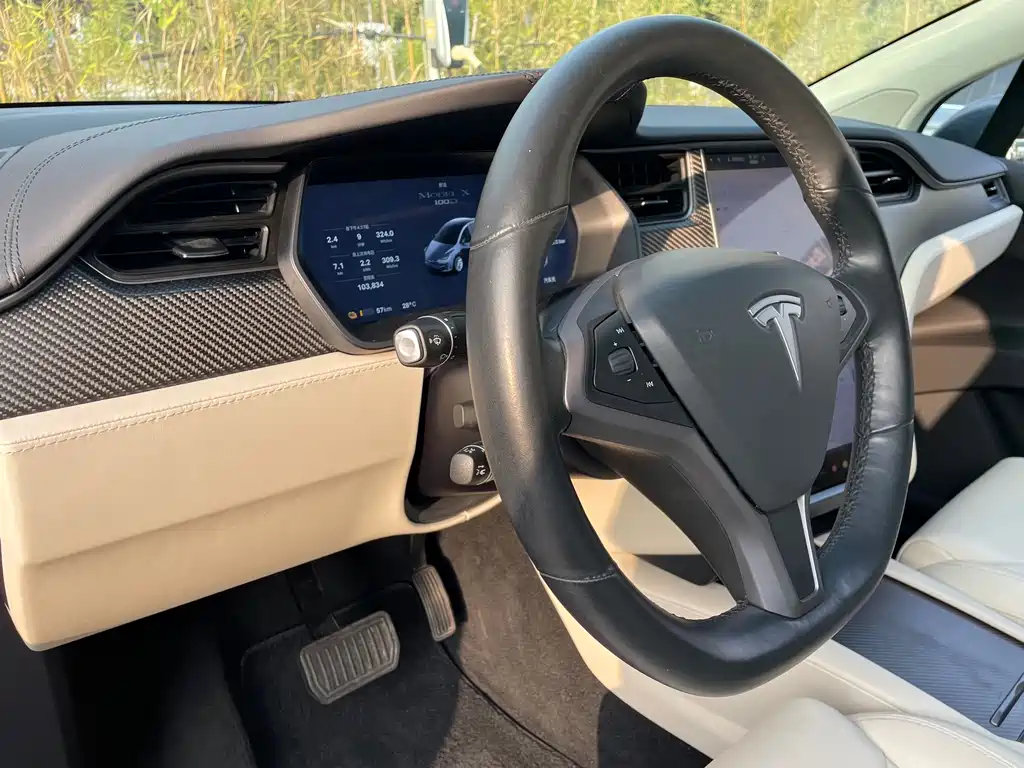 Tesla Model X 2019 — фото 14