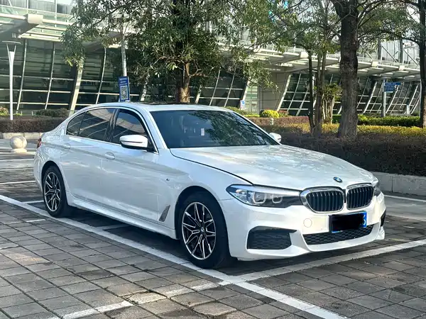 BMW 5 Series 2020