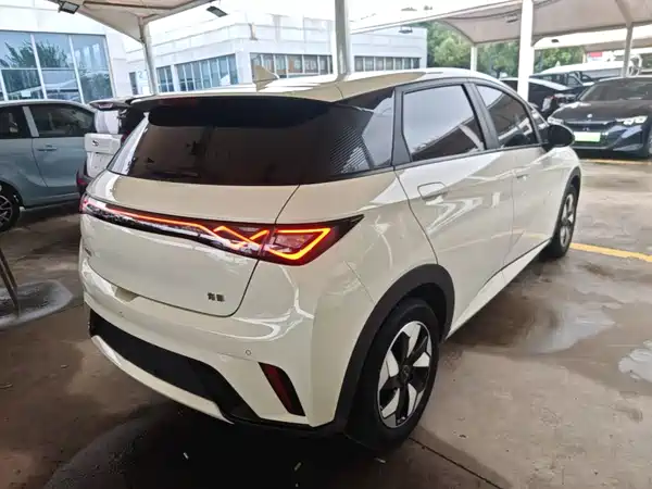 BYD Dolphin 2024