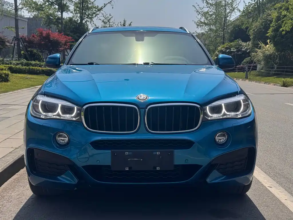 BMW X6 2019 — фото 2