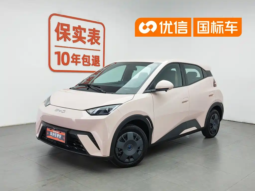 BYD Seagull 2025