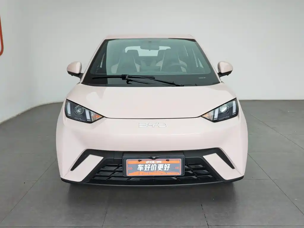 BYD Seagull 2025