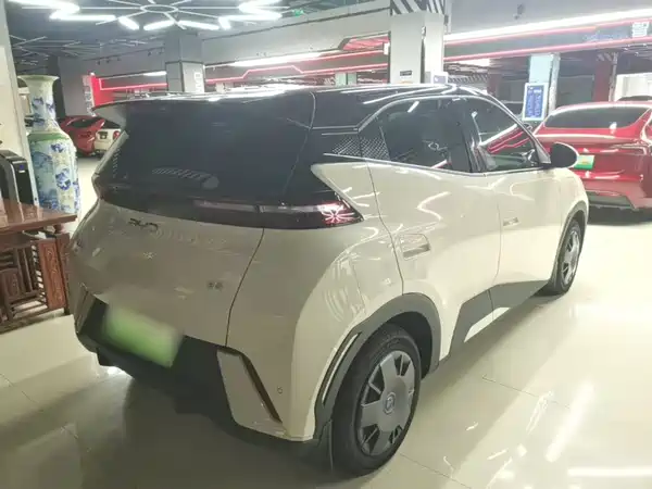 BYD Seagull 2024