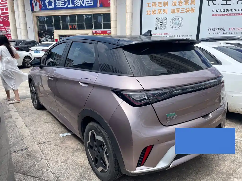 BYD Dolphin 2022