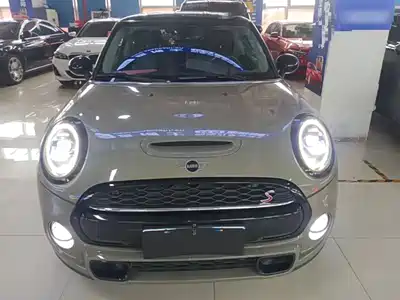 MINI MINI 2019