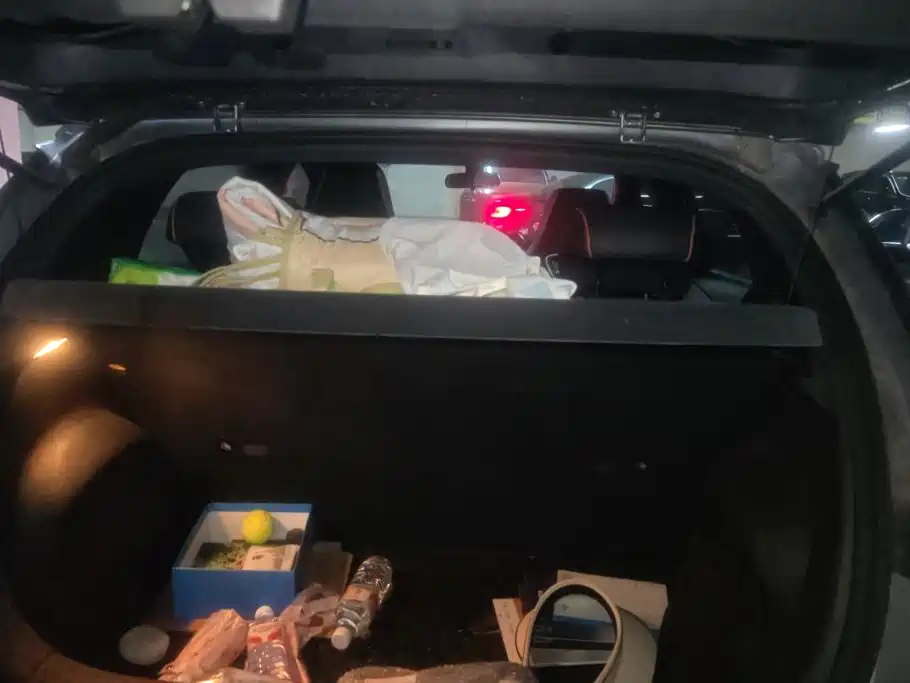 BYD Dolphin 2022
