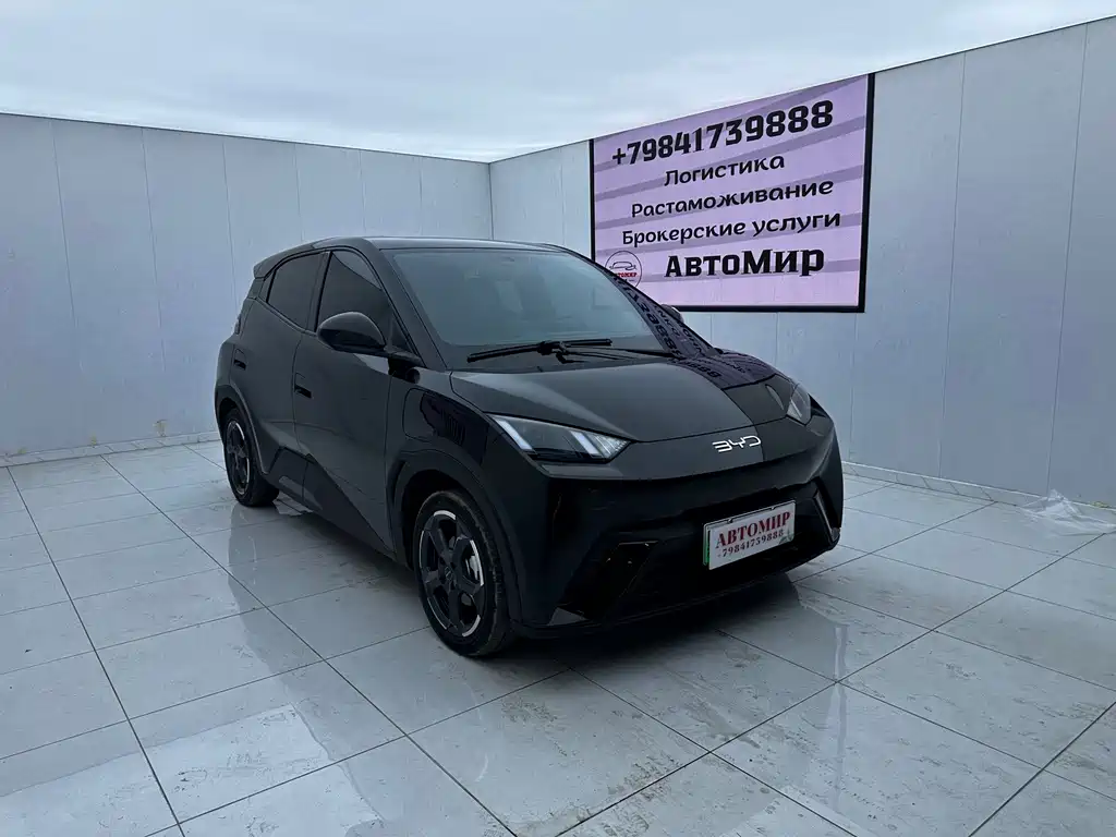 BYD Seagull 2024