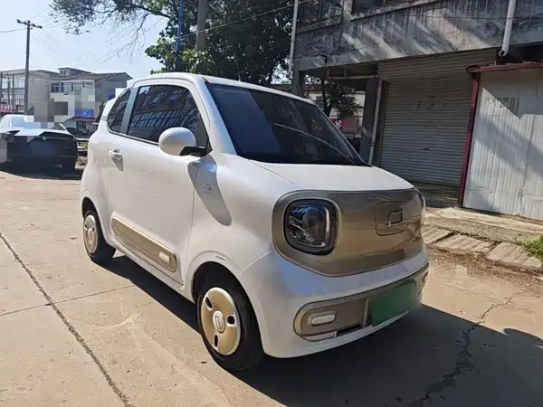 Bestune Pony 2024